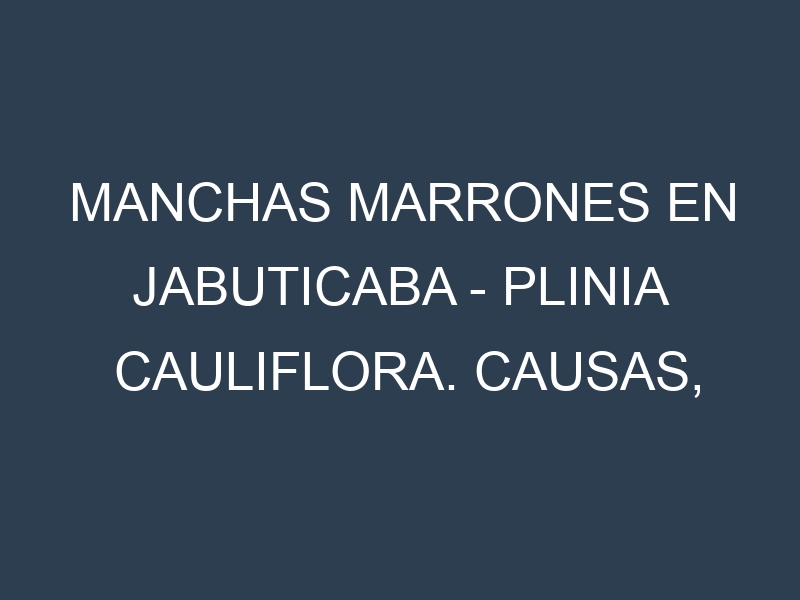 Manchas marrones en Jabuticaba – Plinia cauliflora. Causas, Prevención y Soluciones