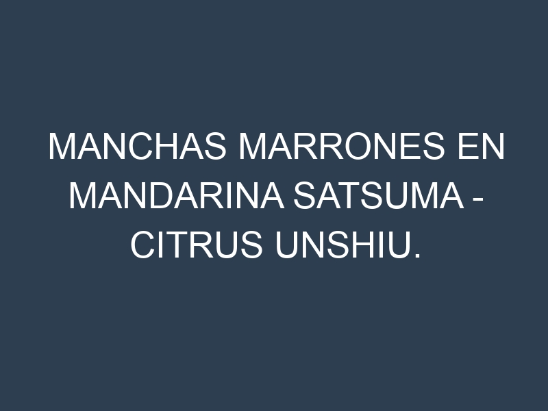 Manchas marrones en Mandarina Satsuma – Citrus unshiu. Causas, Prevención y Soluciones