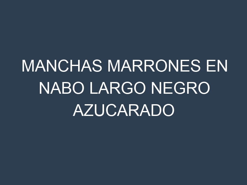 Manchas Marrones en Nabo Largo Negro Azucarado