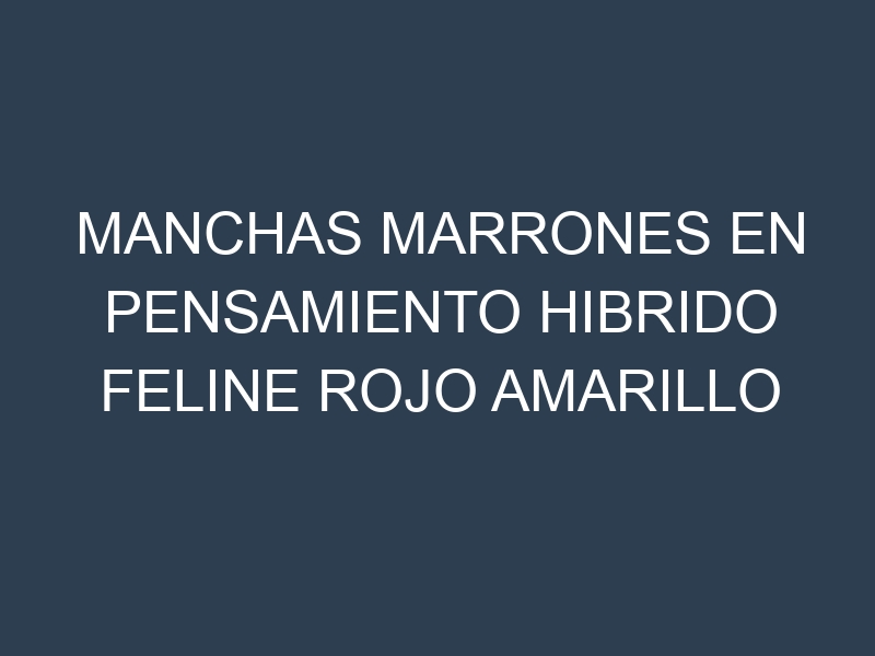 Manchas Marrones en Pensamiento Hibrido Feline Rojo Amarillo