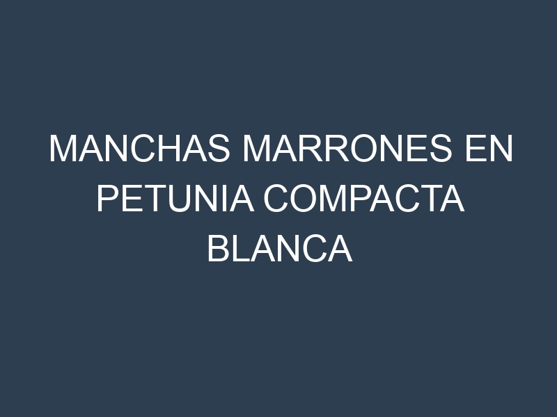 Manchas Marrones en Petunia Compacta Blanca