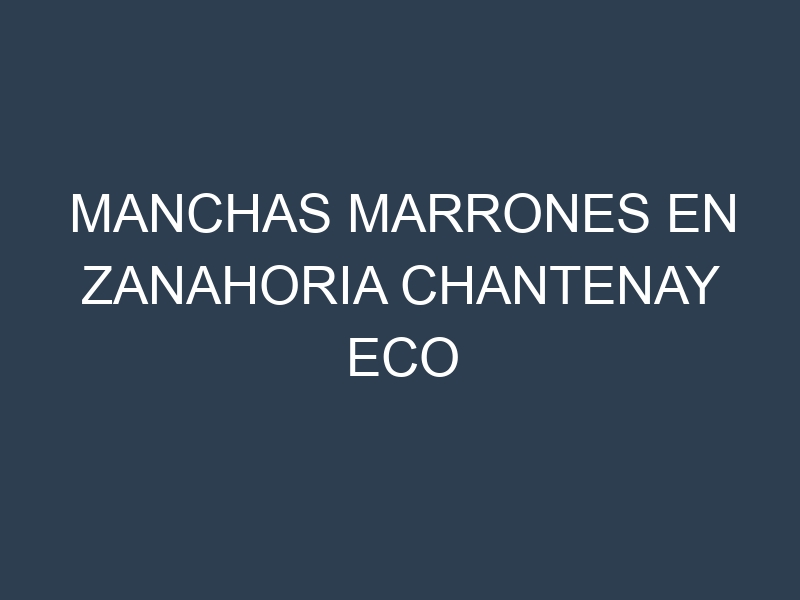 Manchas Marrones en Zanahoria Chantenay Eco