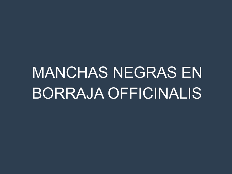 Manchas Negras en Borraja Officinalis