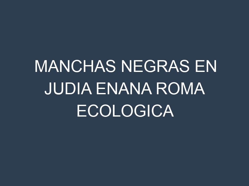 Manchas Negras en Judia Enana Roma Ecologica