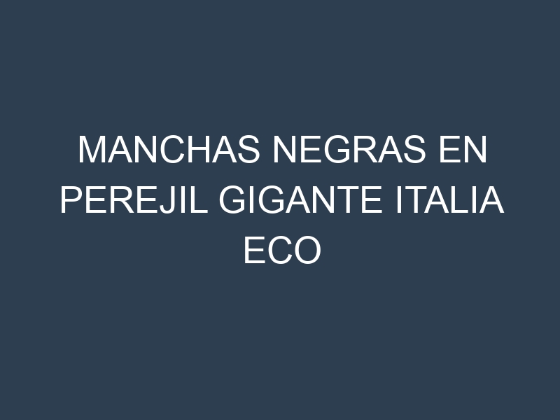 Manchas Negras en Perejil Gigante Italia Eco