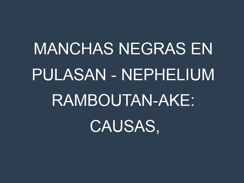 Manchas Negras en Pulasan – Nephelium ramboutan-ake: Causas, Efectos y Manejo