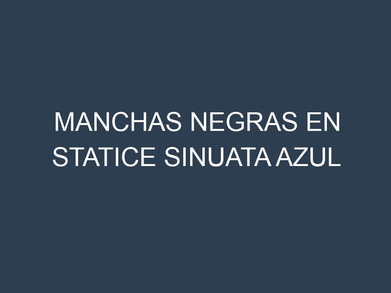 Manchas Negras en Statice Sinuata Azul