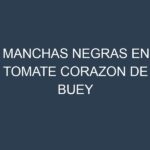 Manchas Negras en Tomate Corazon De Buey
