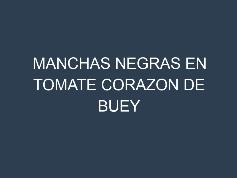 Manchas Negras en Tomate Corazon De Buey