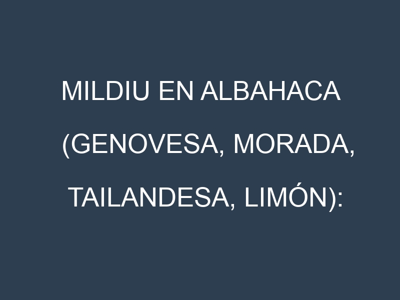 Mildiu en Albahaca (Genovesa, Morada, Tailandesa, Limón): Causas, Síntomas y Estrategias de Control en Cultivos