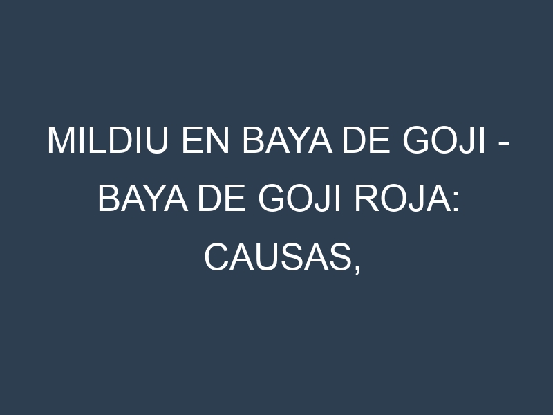 Mildiu en Baya de goji – Baya de goji roja: Causas, Síntomas y Estrategias de Control en Cultivos