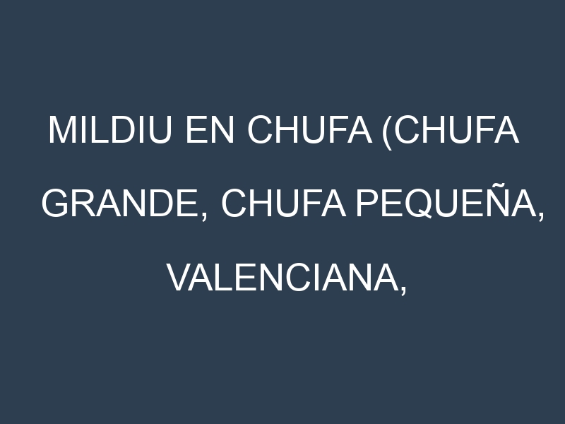 Mildiu en Chufa (Chufa grande, Chufa pequeña, Valenciana, Tigernuts): Causas, Síntomas y Estrategias de Control en Cultivos