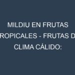 Mildiu en Frutas tropicales – Frutas de clima cálido: Causas, Síntomas y Estrategias de Control en Cultivos