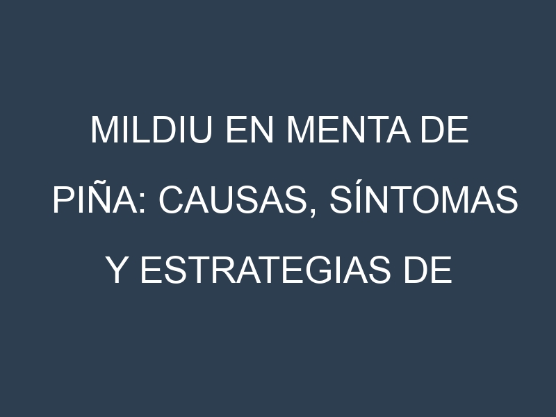 Mildiu en Menta de piña: Causas, Síntomas y Estrategias de Control en Cultivos