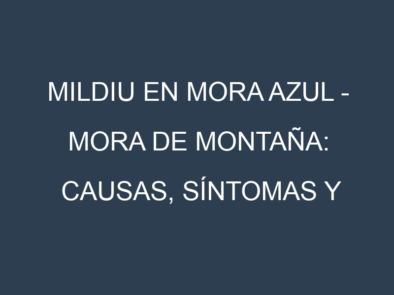 Mildiu en Mora azul – Mora de montaña: Causas, Síntomas y Estrategias de Control en Cultivos