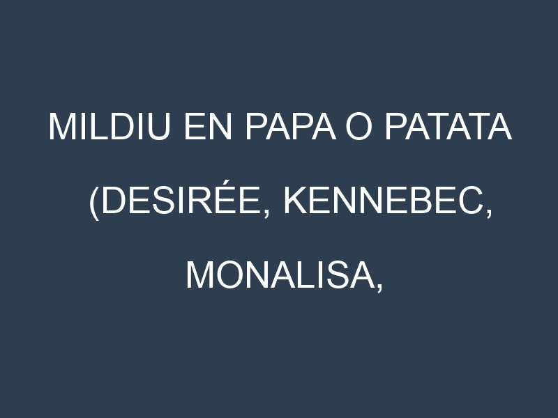 Mildiu en Papa o patata (Desirée, Kennebec, Monalisa, Agria): Causas, Síntomas y Estrategias de Control en Cultivos