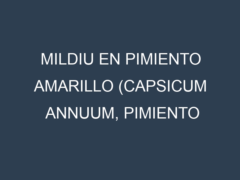 Mildiu en Pimiento amarillo (Capsicum annuum, Pimiento amarillo común, Pimiento amarillo dulce): Causas, Síntomas y Estrategias de Control en Cultivos