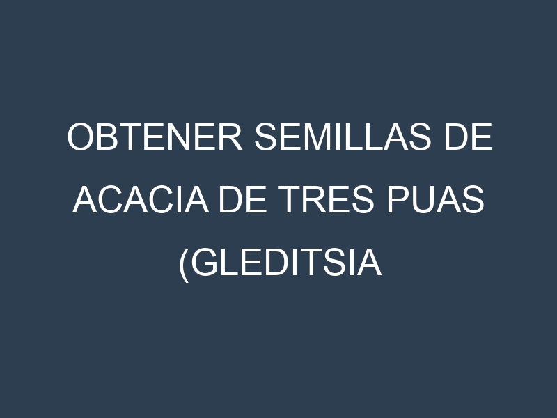 Obtener Semillas de Acacia De Tres Puas (Gleditsia triacanthos.)