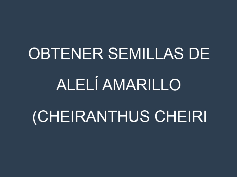 Obtener Semillas de Alelí Amarillo (Cheiranthus cheiri (amarillo).)