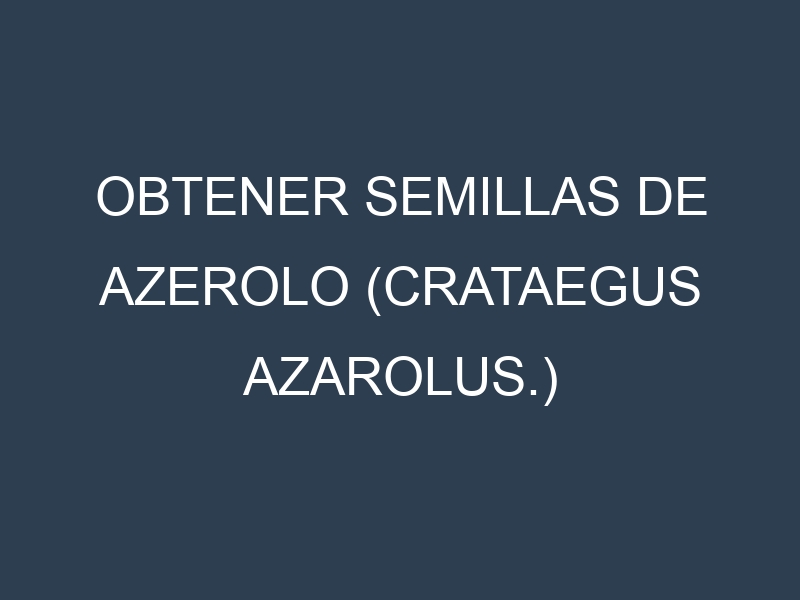 Obtener Semillas de Azerolo (Crataegus azarolus.)