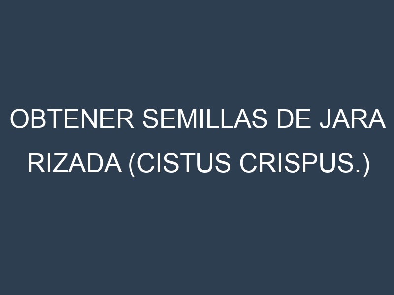 Obtener Semillas de Jara Rizada (Cistus crispus.)