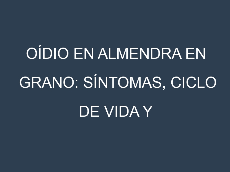 Oídio en Almendra en grano: síntomas, ciclo de vida y estrategias de control
