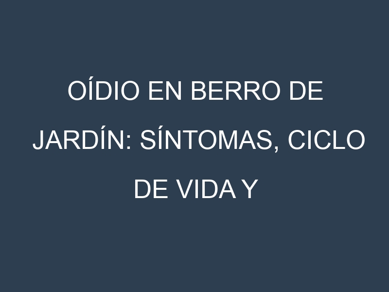 Oídio en Berro de jardín: síntomas, ciclo de vida y estrategias de control