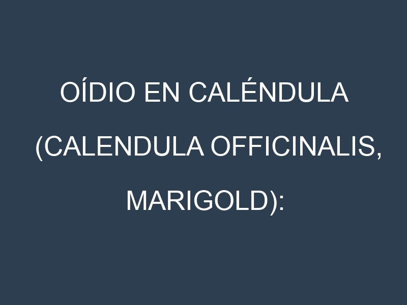 Oídio en Caléndula (Calendula officinalis, Marigold): síntomas, ciclo de vida y estrategias de control
