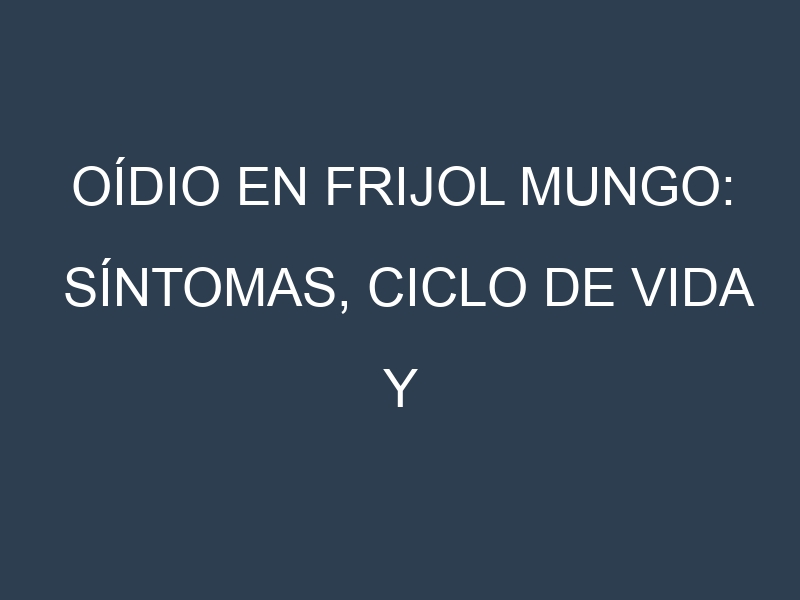 Oídio en Frijol mungo: síntomas, ciclo de vida y estrategias de control