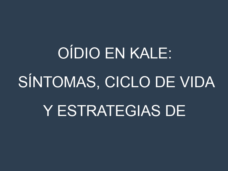 Oídio en Kale: síntomas, ciclo de vida y estrategias de control