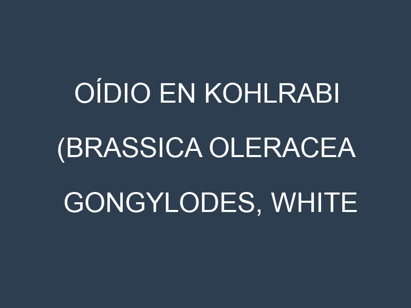 Oídio en Kohlrabi (Brassica oleracea gongylodes, White Vienna, Purple Vienna, Superschmelz): síntomas, ciclo de vida y estrategias de control