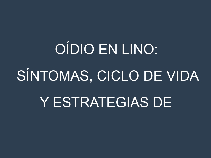 Oídio en Lino: síntomas, ciclo de vida y estrategias de control