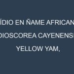 Oídio en Ñame africano (Dioscorea cayenensis, Yellow Yam, Guinea Yam): síntomas, ciclo de vida y estrategias de control