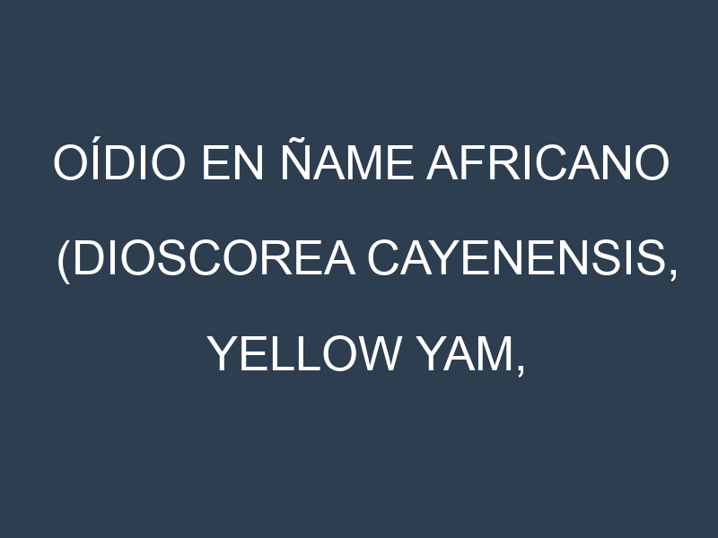 Oídio en Ñame africano (Dioscorea cayenensis, Yellow Yam, Guinea Yam): síntomas, ciclo de vida y estrategias de control