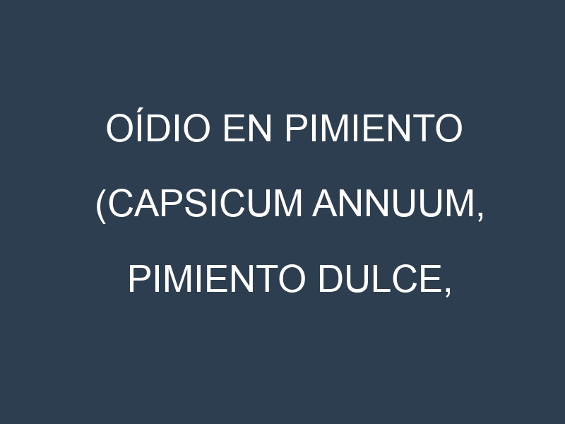 Oídio en Pimiento (Capsicum annuum, Pimiento dulce, Pimiento picante): síntomas, ciclo de vida y estrategias de control