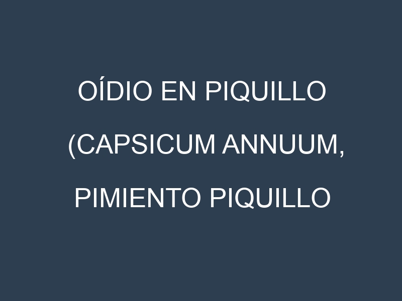 Oídio en Piquillo (Capsicum annuum, Pimiento piquillo dulce, Pimiento piquillo rojo): síntomas, ciclo de vida y estrategias de control