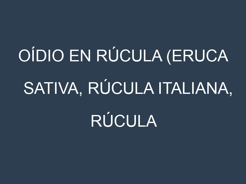 Oídio en Rúcula (Eruca sativa, Rúcula italiana, Rúcula silvestre): síntomas, ciclo de vida y estrategias de control