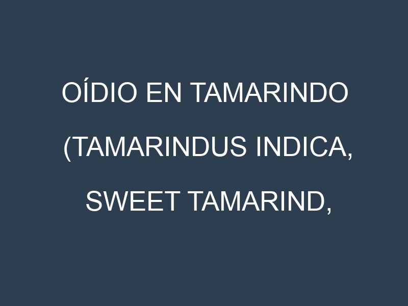 Oídio en Tamarindo (Tamarindus indica, Sweet tamarind, Manila tamarind): síntomas, ciclo de vida y estrategias de control