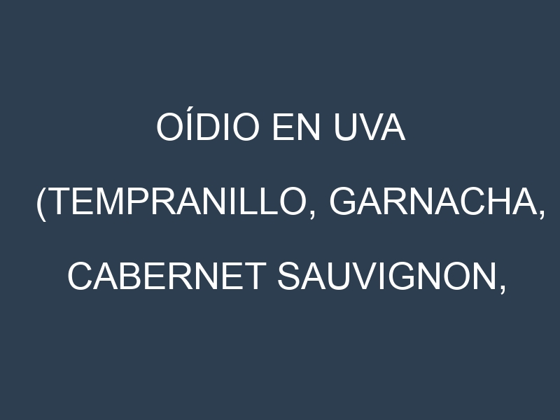 Oídio en Uva (Tempranillo, Garnacha, Cabernet Sauvignon, Chardonnay): síntomas, ciclo de vida y estrategias de control