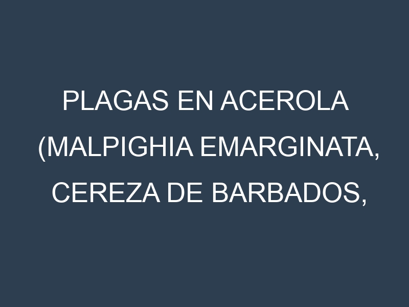 Plagas en Acerola (Malpighia emarginata, Cereza de Barbados, Cereza tropical). Control biológico y Manejo de plagas.