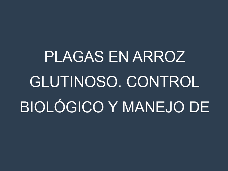 Plagas en Arroz glutinoso. Control biológico y Manejo de plagas.