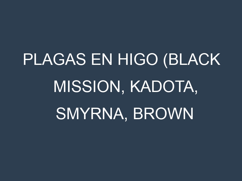 Plagas en Higo (Black Mission, Kadota, Smyrna, Brown Turkey). Control biológico y Manejo de plagas.
