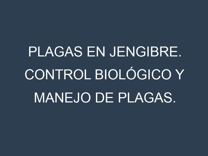 Plagas en Jengibre. Control biológico y Manejo de plagas.