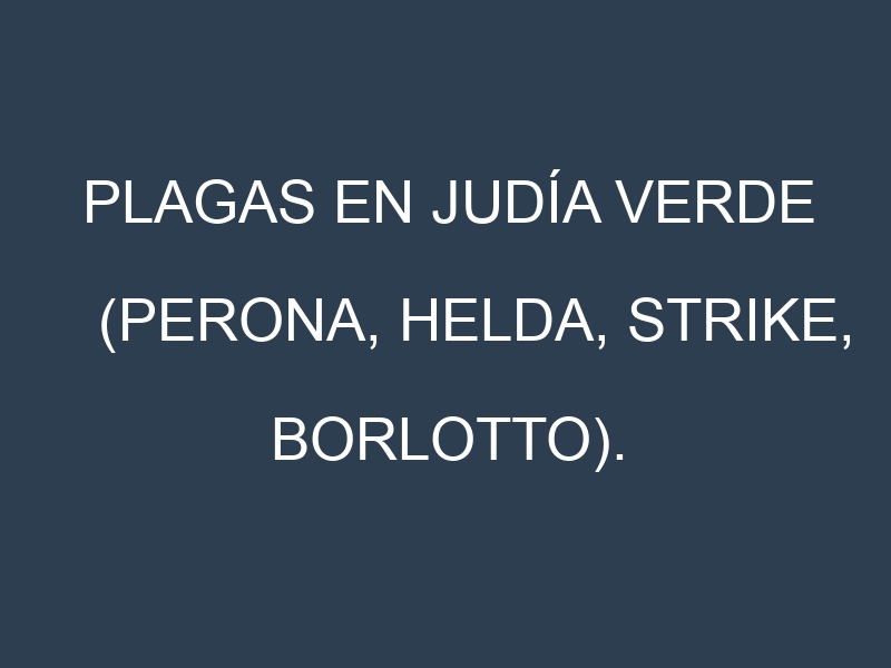Plagas en Judía verde (Perona, Helda, Strike, Borlotto). Control biológico y Manejo de plagas.