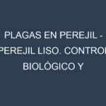 Plagas en Perejil – Perejil liso. Control biológico y Manejo de plagas.
