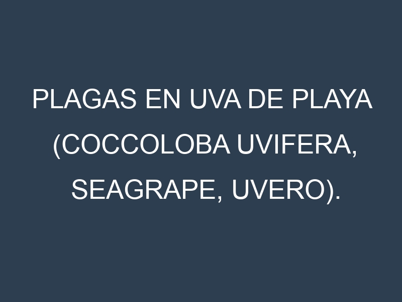 Plagas en Uva de playa (Coccoloba uvifera, Seagrape, Uvero). Control biológico y Manejo de plagas.