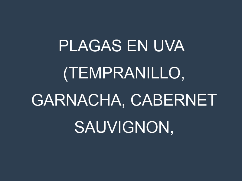 Plagas en Uva (Tempranillo, Garnacha, Cabernet Sauvignon, Chardonnay). Control biológico y Manejo de plagas.