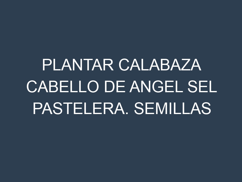 Plantar Calabaza Cabello De Angel Sel Pastelera. Semillas para Calabaza Cabello De Angel Sel Pastelera. Enfermedades Calabaza Cabello De Angel Sel Pastelera.