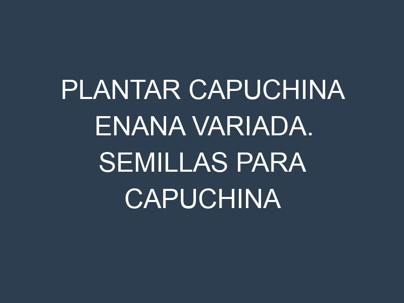 Plantar Capuchina Enana Variada. Semillas para Capuchina Enana Variada. Enfermedades Capuchina Enana Variada.