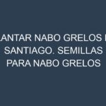 Plantar Nabo Grelos De Santiago. Semillas para Nabo Grelos De Santiago. Enfermedades Nabo Grelos De Santiago.